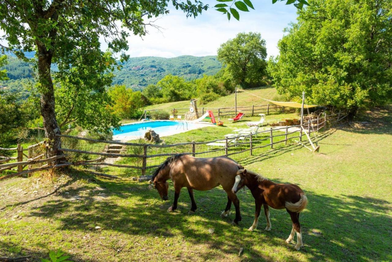 Villa Bellavista Arezzo Dış mekan fotoğraf