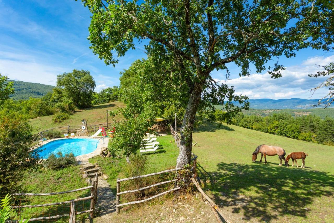 Villa Bellavista Arezzo Dış mekan fotoğraf
